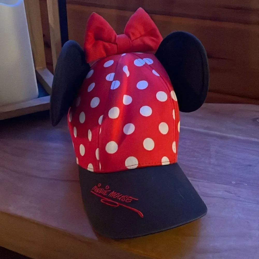 Minnie Hat from Disney world
